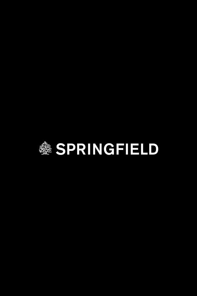 Springfield Novedades | Hombre ofertas