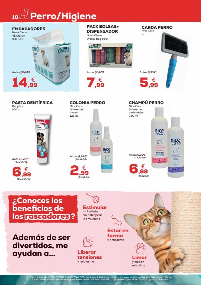 Kiwoko Ofertas para pasar un veranos juntos
