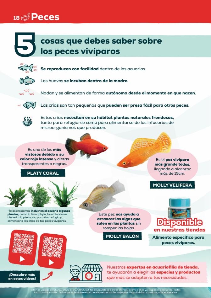 Kiwoko Ofertas para pasar un veranos juntos
