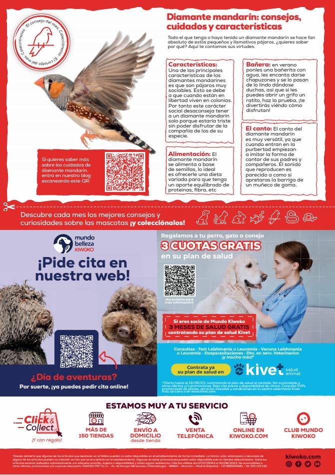 Kiwoko Ofertas para pasar un veranos juntos